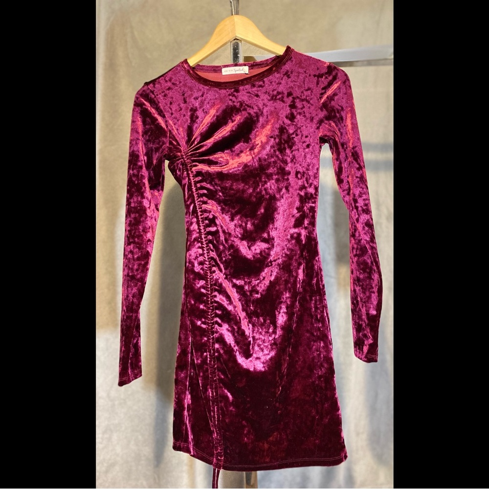 Purple Velvet Live to Be Spoiled Long sleeve Dress